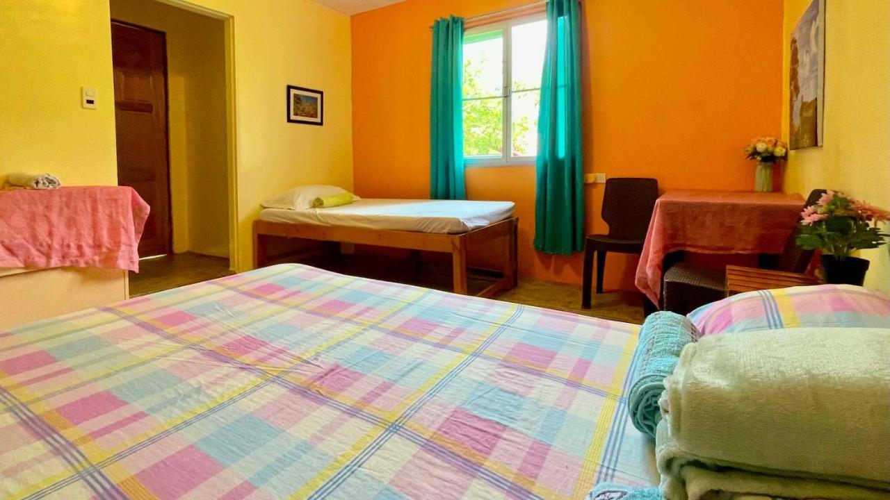 Blue Moon Guesthouse プエルト・プリンセサ エクステリア 写真