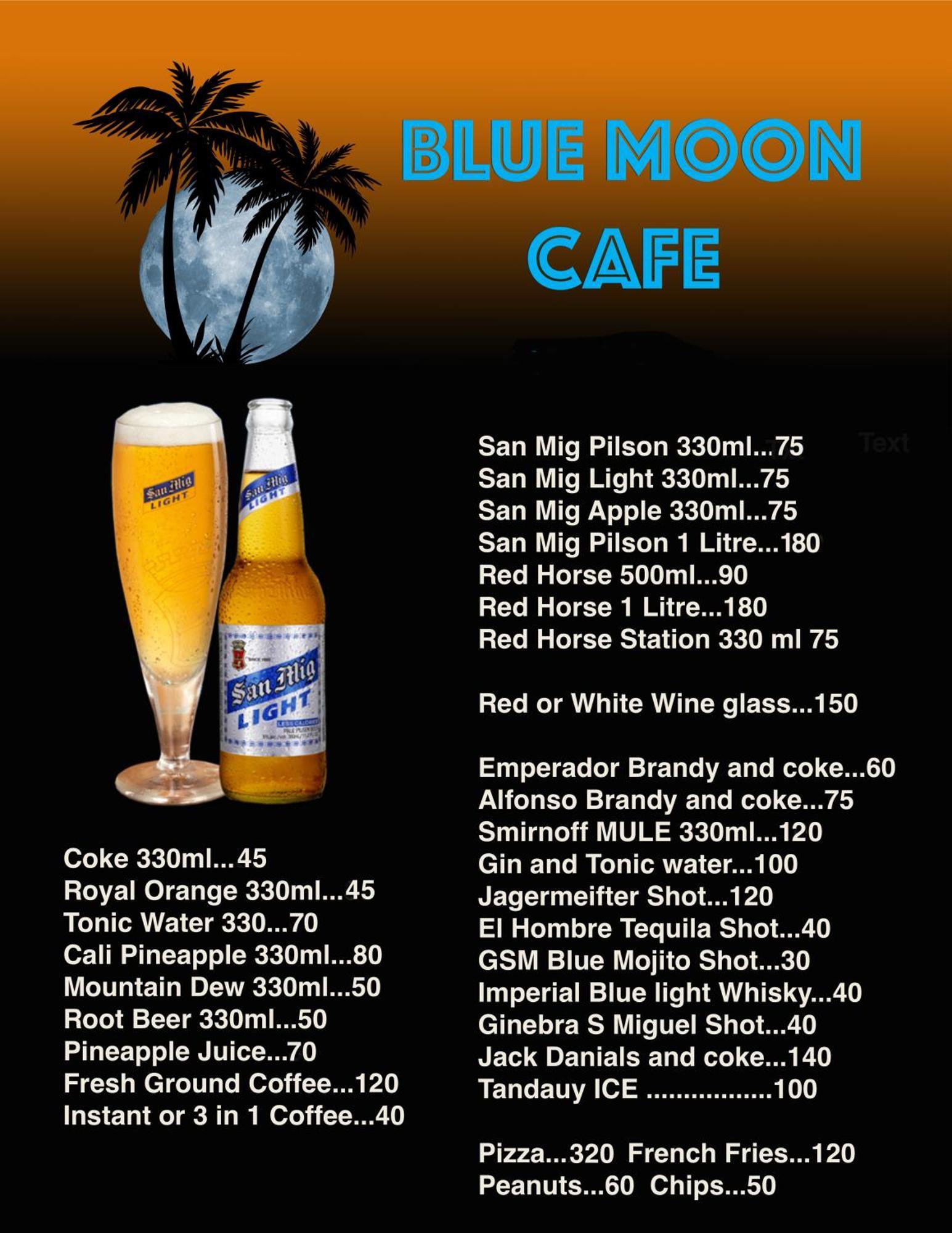 Blue Moon Guesthouse プエルト・プリンセサ エクステリア 写真
